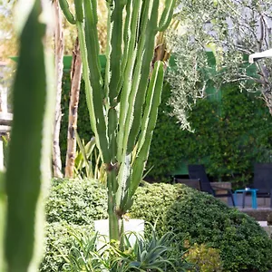 Mercure Centre Notre Dame Nicea